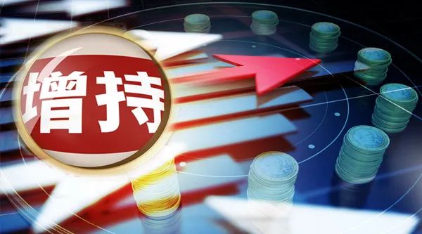 中央汇金公司增持四大行股份