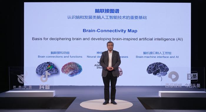 我国科学家构建新型类脑网络 构筑人工智能与神经科学的桥梁