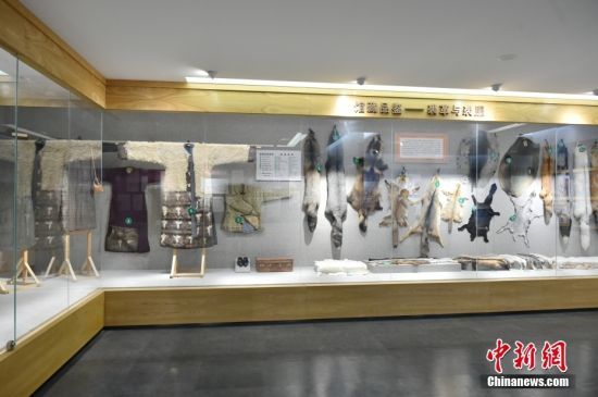 京津冀协同发展十周年媒体体验行：天津河北携手展新姿