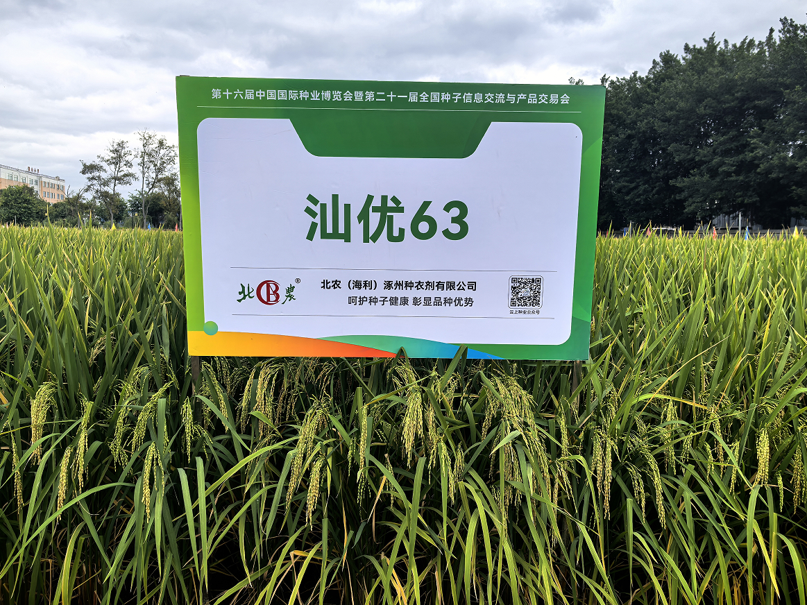 机构频频踏上调研路 北交所及“双创”品种成新宠