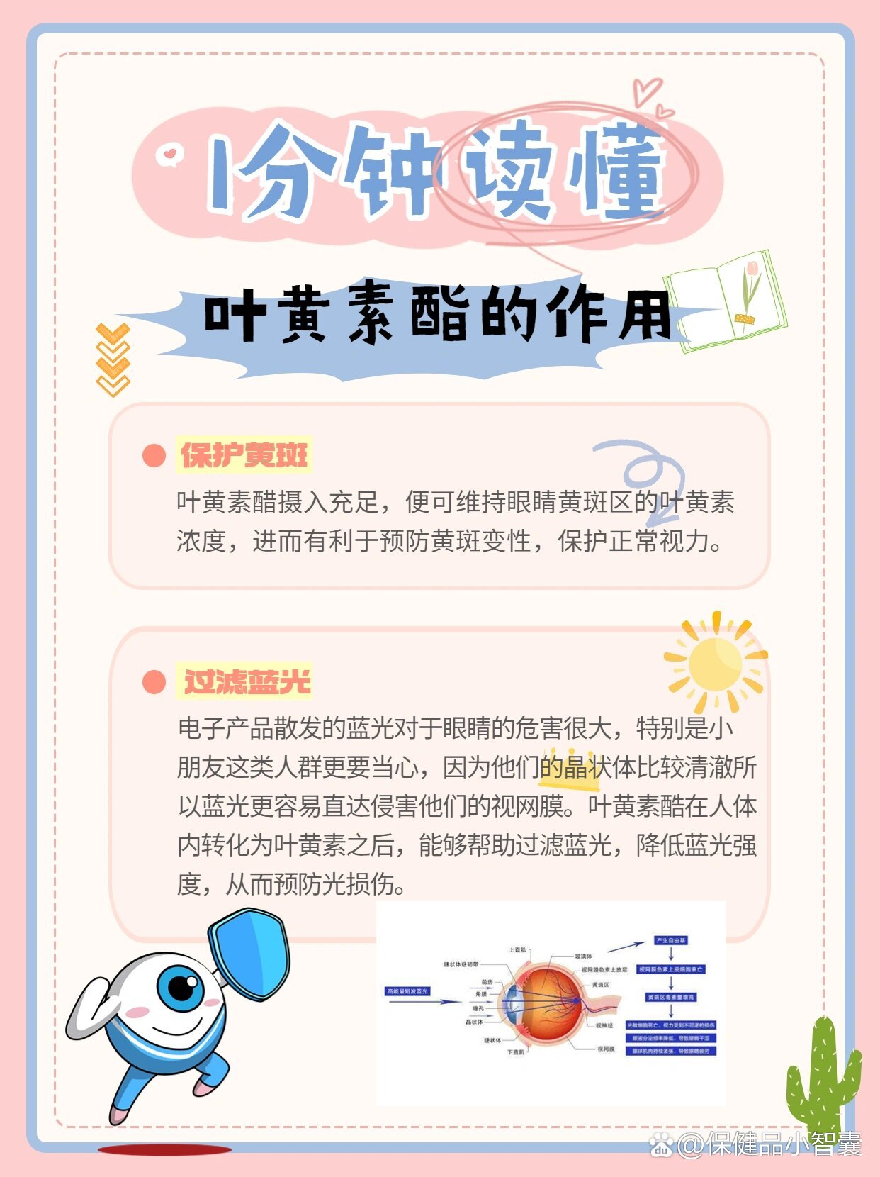 光明说经济丨从两个稳定 看一揽子增量政策持续发力显效