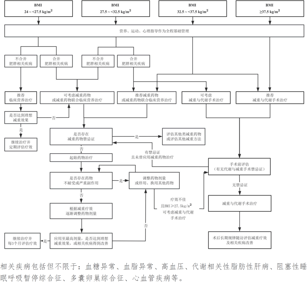 新研究：轻度肥胖的脑卒中患者出院时残疾比例更低