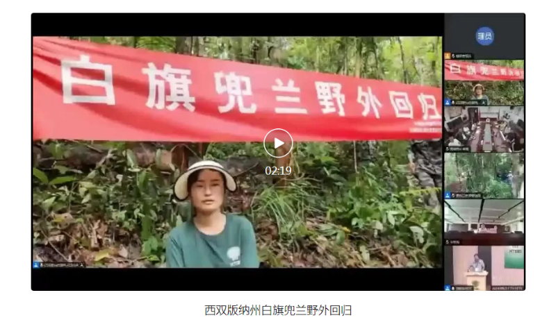 科研人员对极危植物苍背木莲实施野外回归