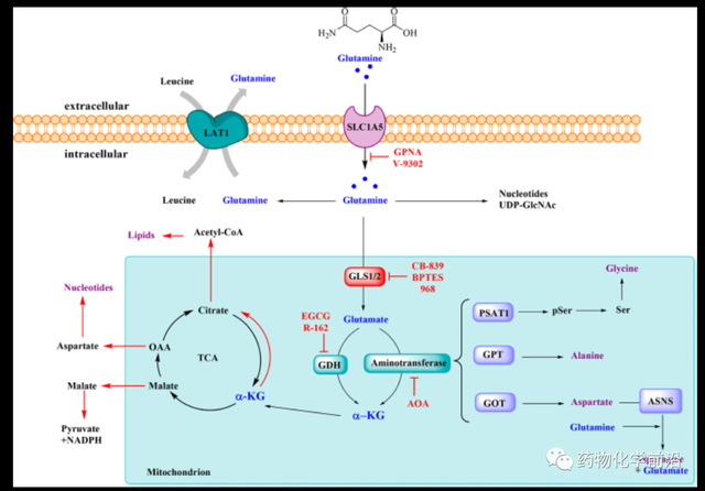 我国科学家提出甲烷介导的氨动力发动机构想