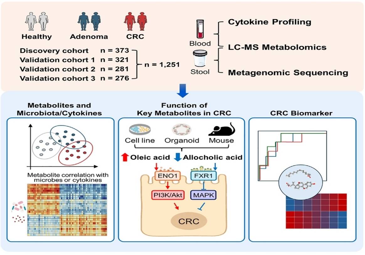 研究发现全球早发性结直肠癌发病率上升