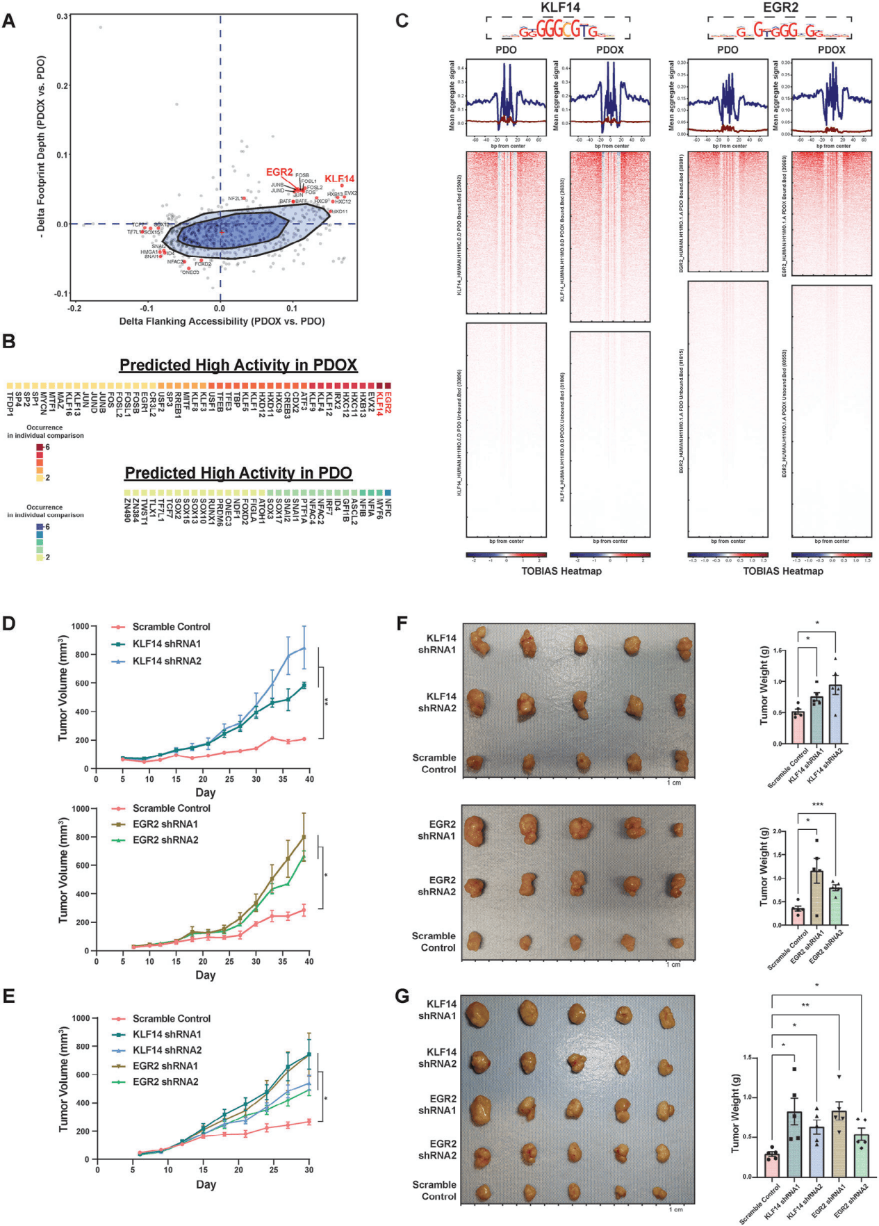 研究发现全球早发性结直肠癌发病率上升