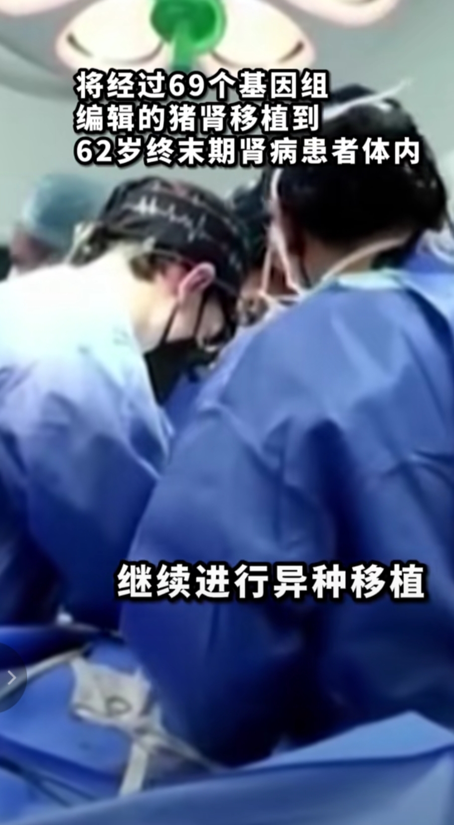 美国医生完成又一例基因编辑猪肾活体移植手术