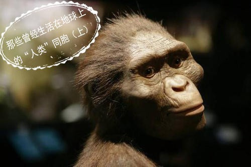 新研究：人类祖先“露西”会跑步 但速度相当慢