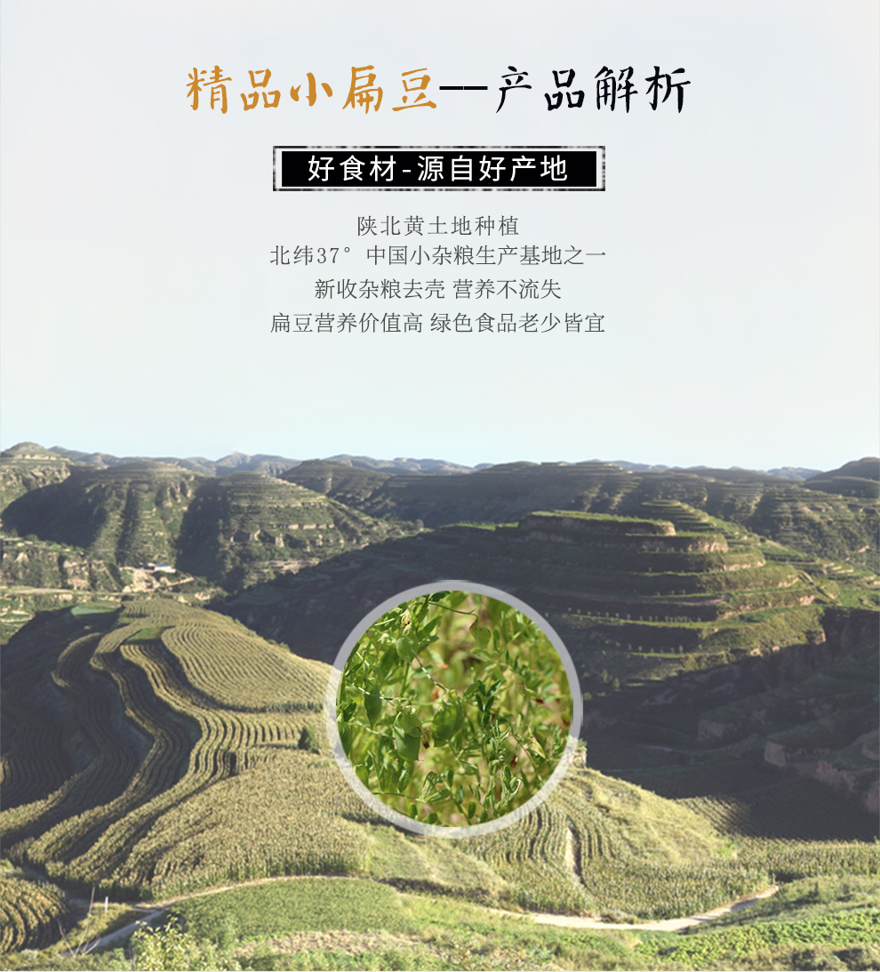 广西发现小扁豆组植物新物种