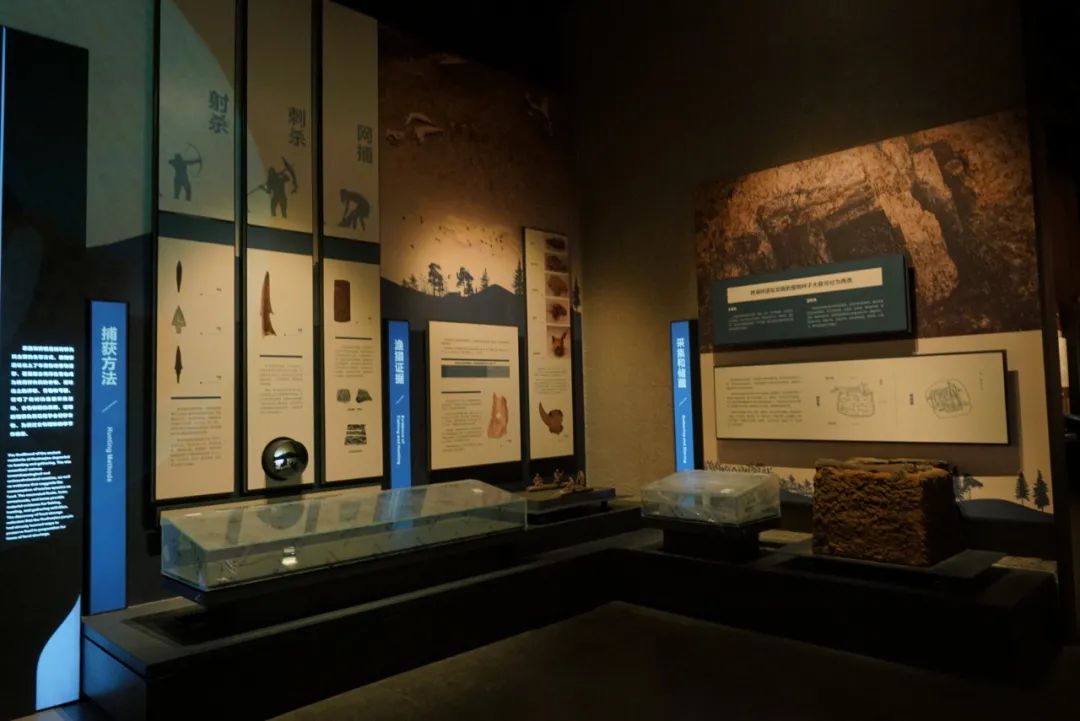 猿辅导素养课链接7家一级博物馆 打造新春第二课堂