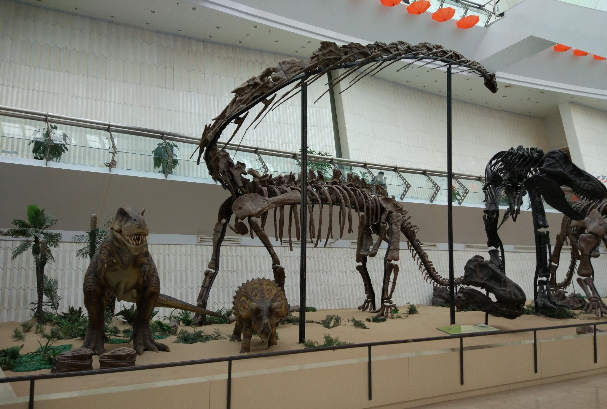 猿辅导素养课链接7家一级博物馆 打造新春第二课堂