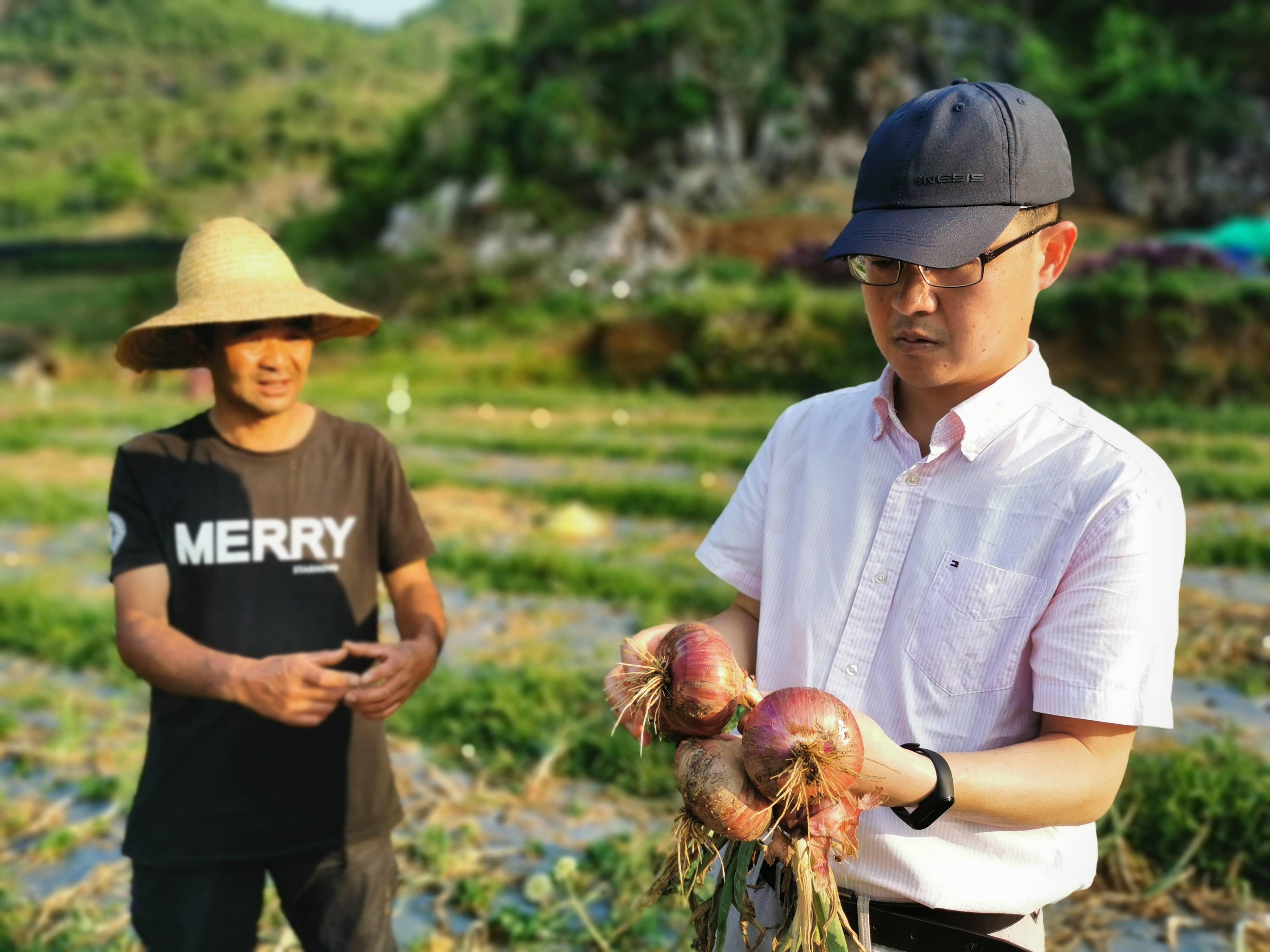 一位科技小院博士眼里的拼多多：电商西进助新农人成为“兴农人”