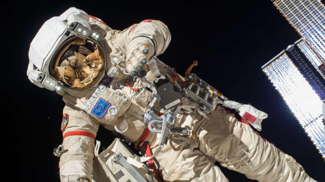 新研究发现南方古猿是素食者