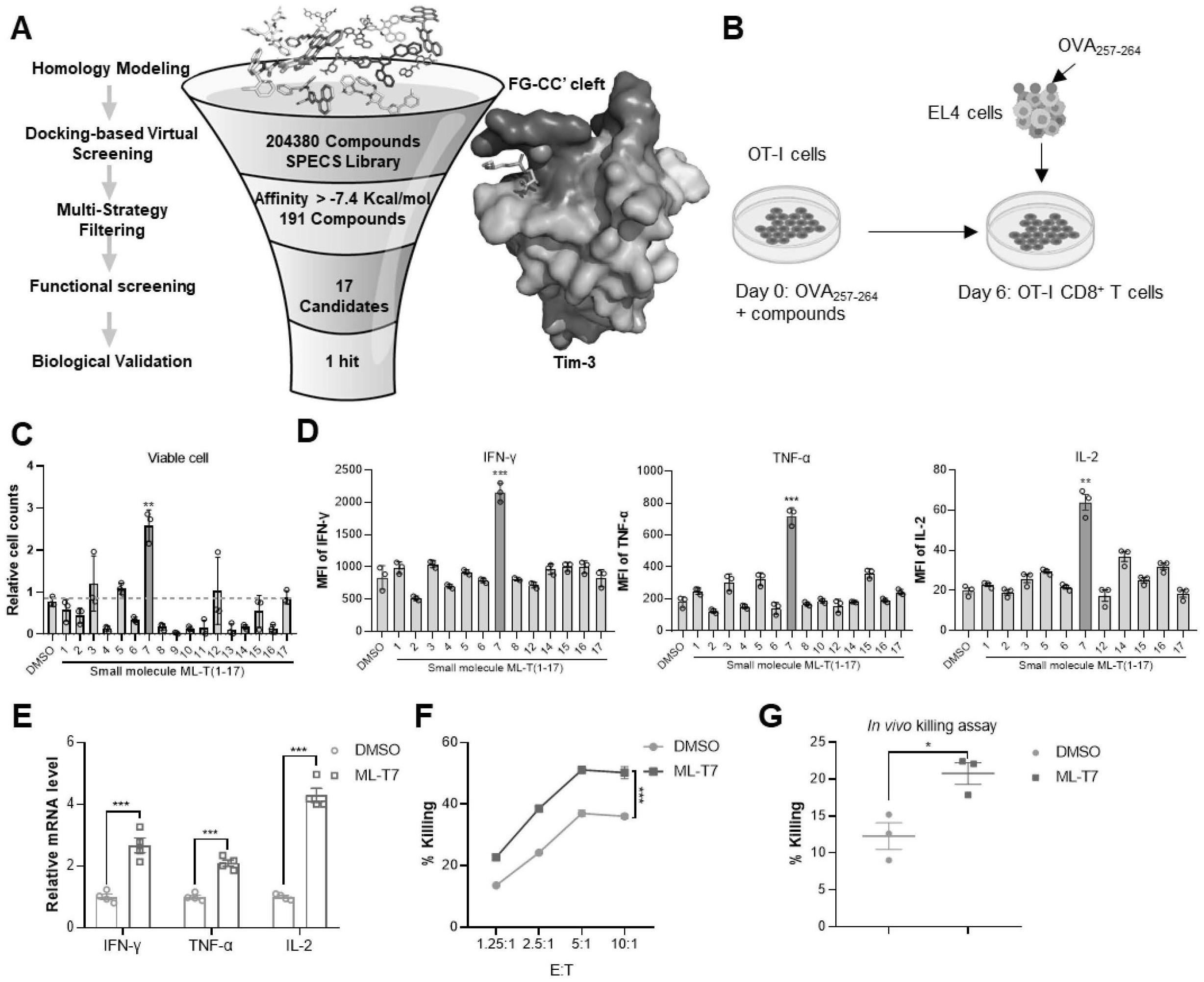 一种天然物质可增强癌症免疫疗法疗效
