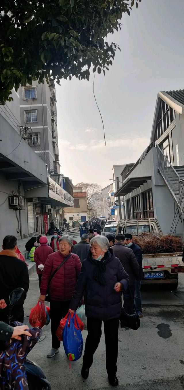 新春走基层丨安徽滁州：有种“赶集”叫“逛狗市”