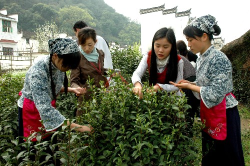 新华社消息丨植物如何识别 “敌友”微生物？科学家揭秘其“聪明的点将”机制