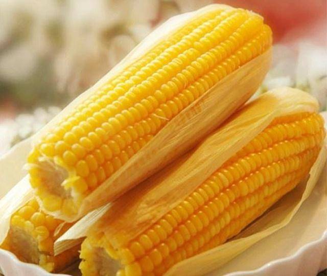 玉米“怕冷”影响生长？我国科学家或找到改善之道