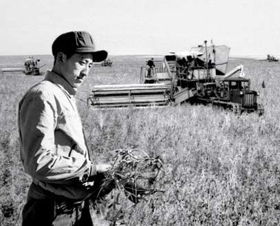 作物如何抵御寄生植物威胁？中国团队最新研究提出解决方案