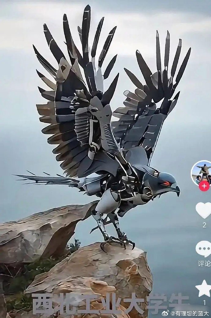 科技之眼｜素问｜政和八闽鸟是目前世界上最早的鸟类吗？