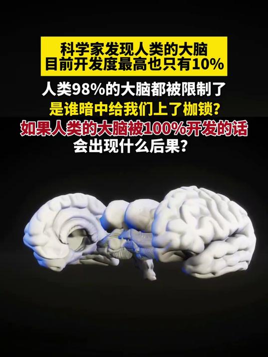 我国科学家揭示人类大脑皮层的复杂布局