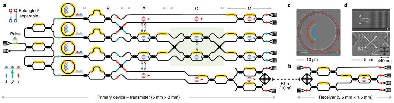 我国科学家在“连续变量”集成光量子芯片领域实现新突破