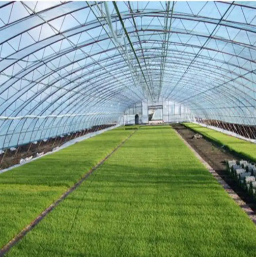 引领产业数字化与绿色升级 SHEIN与传化化学成立联合实验室