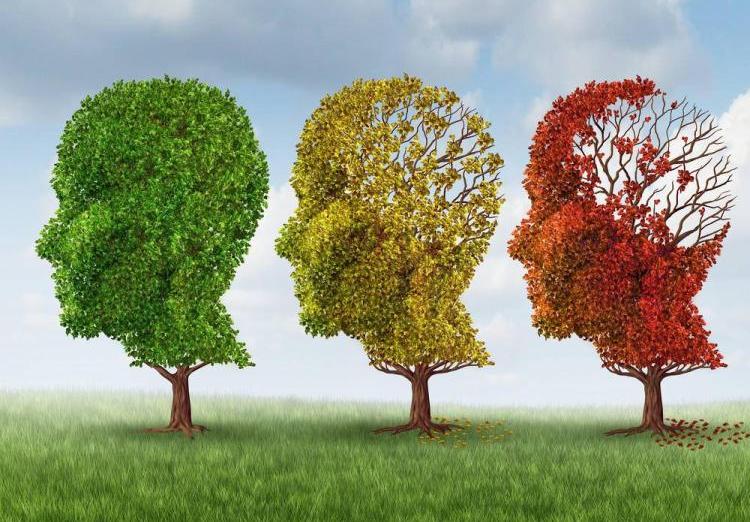 研究：保持少量锻炼有助减少痴呆症风险