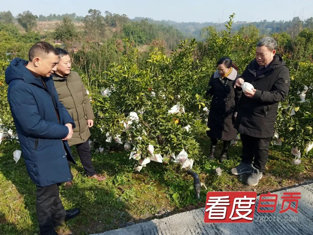 奋进的春天|新年新貌:乡村振兴里的数据账