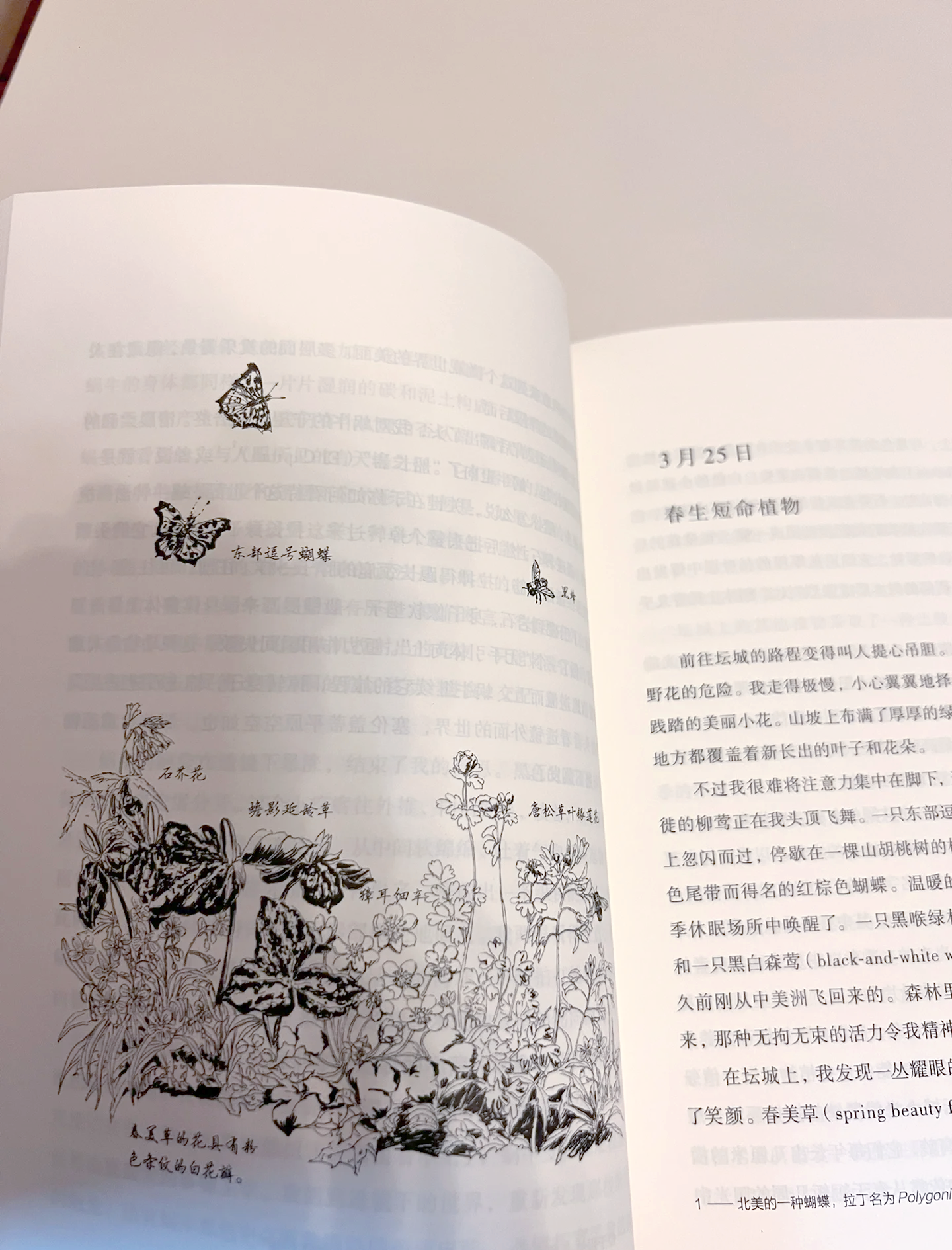 科学家揭示森林树木“抱团”奥秘