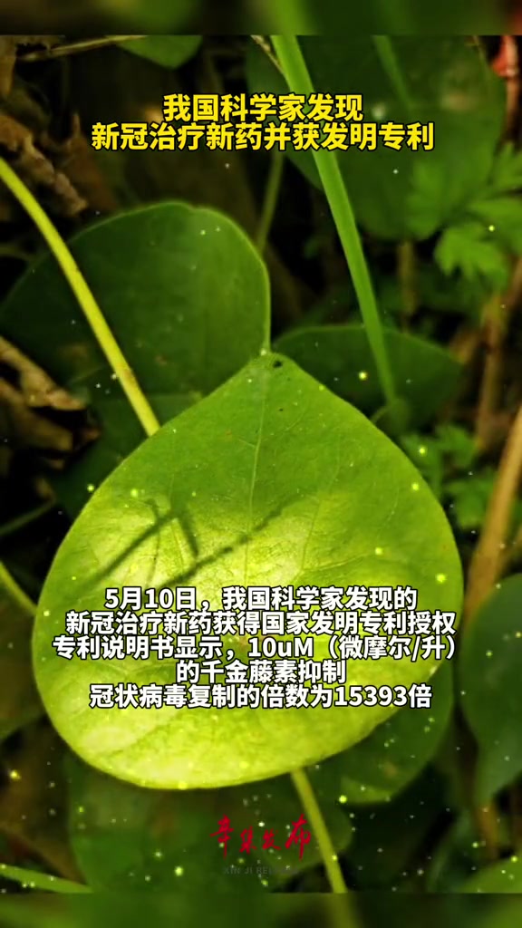 我科学家找到延长钙钛矿太阳电池寿命新思路