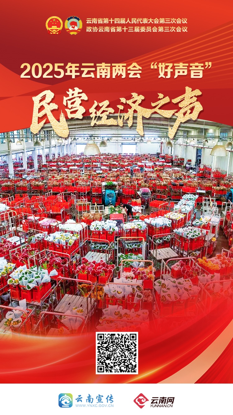 两会新声丨张兴海：民营经济发展前景广阔、大有可为