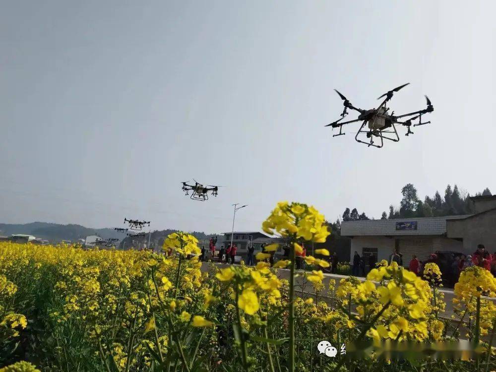 春耕备耕时节农田里兴起“科技范儿”