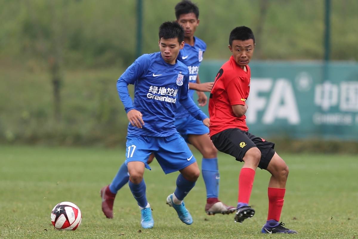 我国自主培育的华西牛将首次出口海外