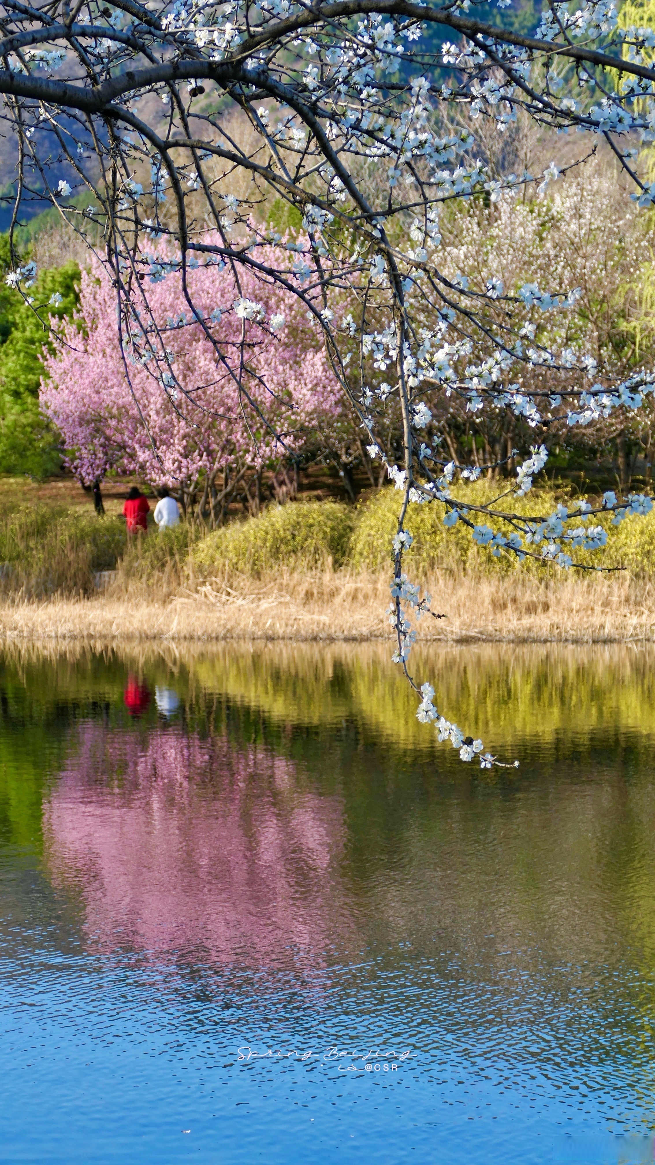 春分前后观赏黄道光迎来绝佳窗口期