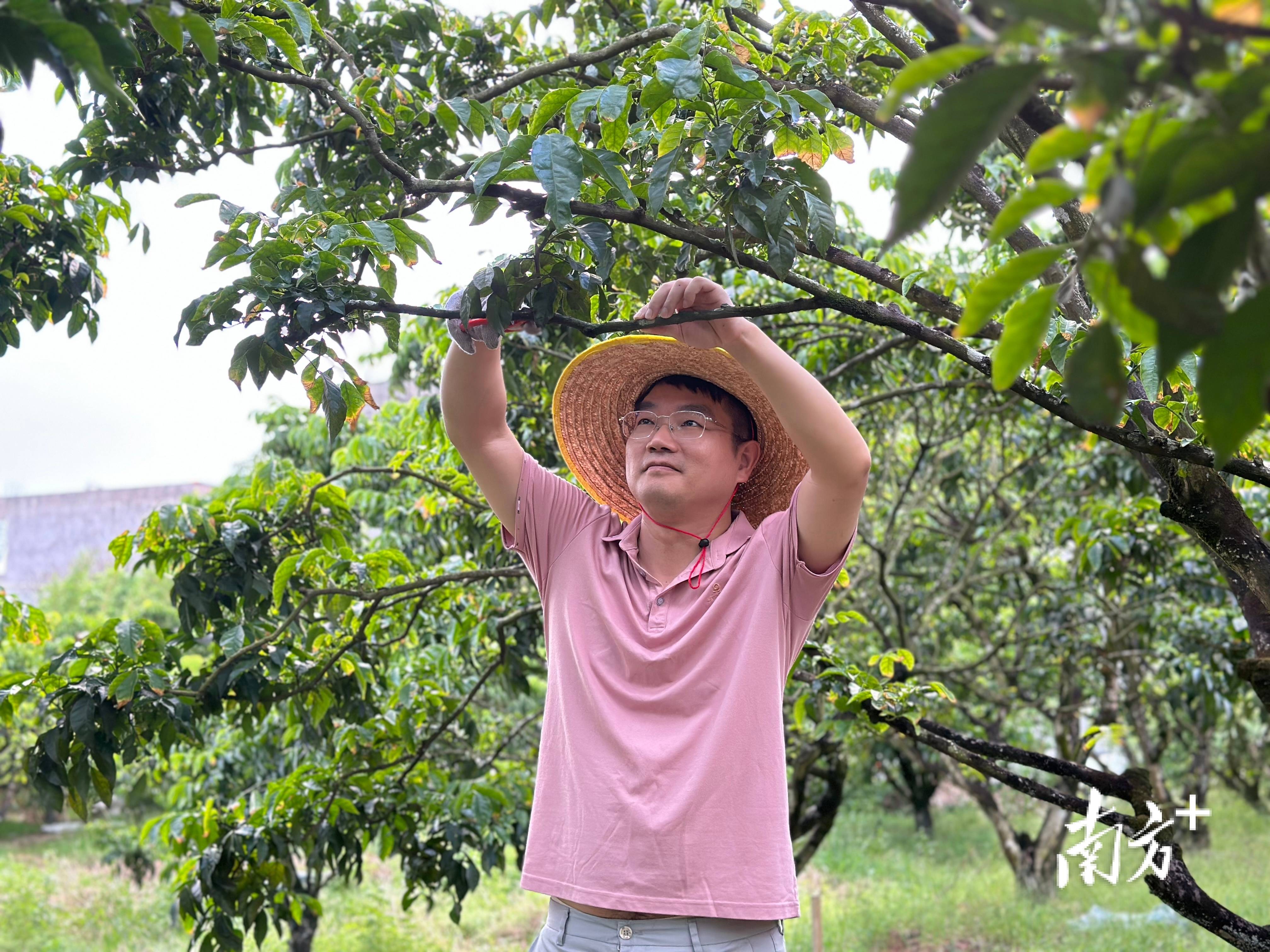 驻村帮扶调研丨建机制 强管理 优服务 多措并举推动驻村干部扎根一线、履职担当