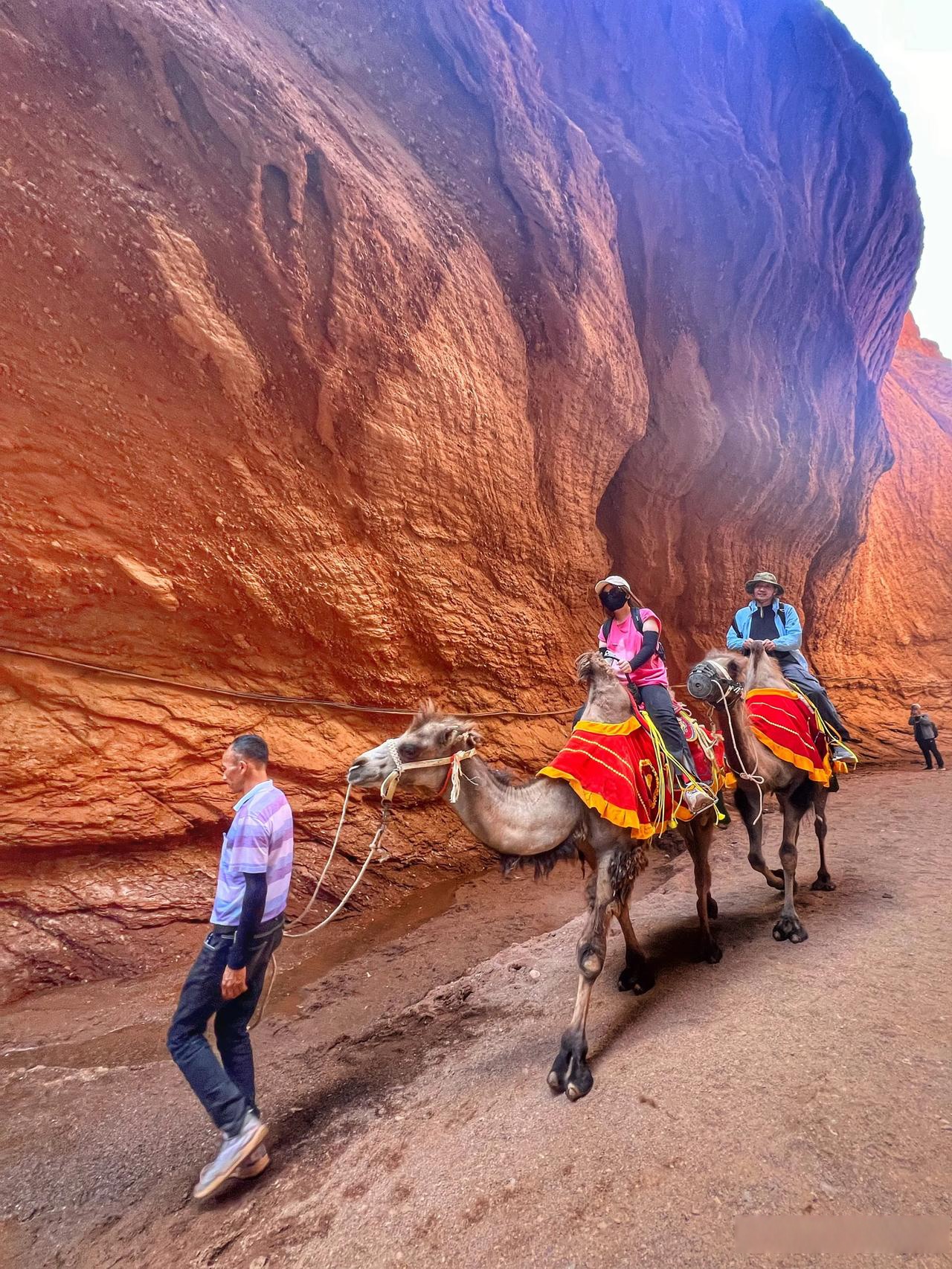 南非发现1.4亿年前恐龙足迹