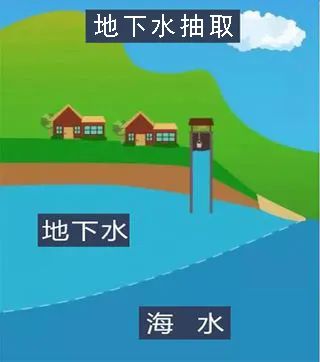 科普丨猪器官如何为人类“跨物种救命”