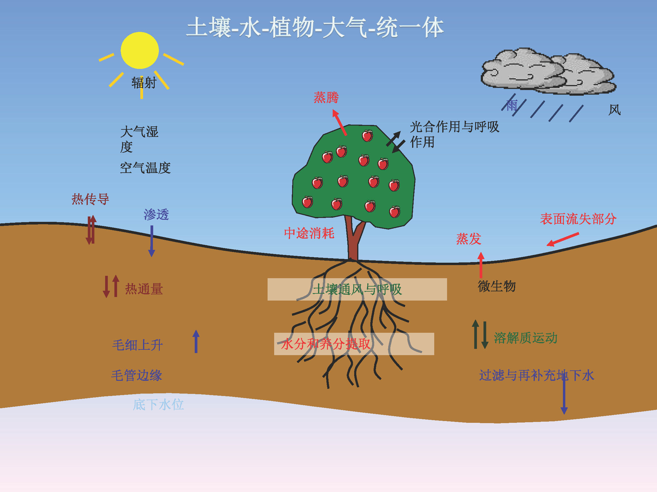 我国科学家研究证明植物叶片可吸收积累大气微塑料