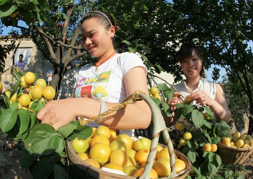 文明健康科普丨搭上“旅游快车” 边陲小村正焕新