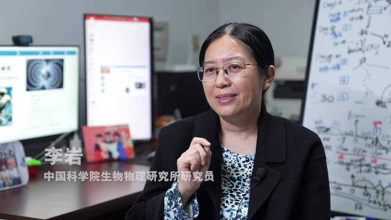 中国空间站首批在轨繁育果蝇即将返回地球 有望获得多项科学成果
