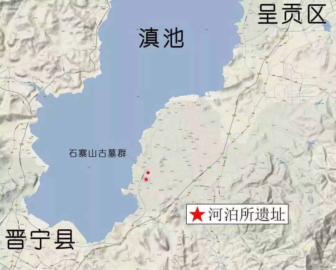 远古发现丨一张脑部CT,揭开4亿年前古椎鱼的身世之谜