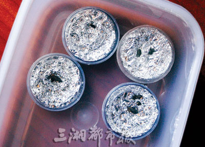 远古发现丨一张脑部CT，揭开4亿年前古椎鱼的身世之谜