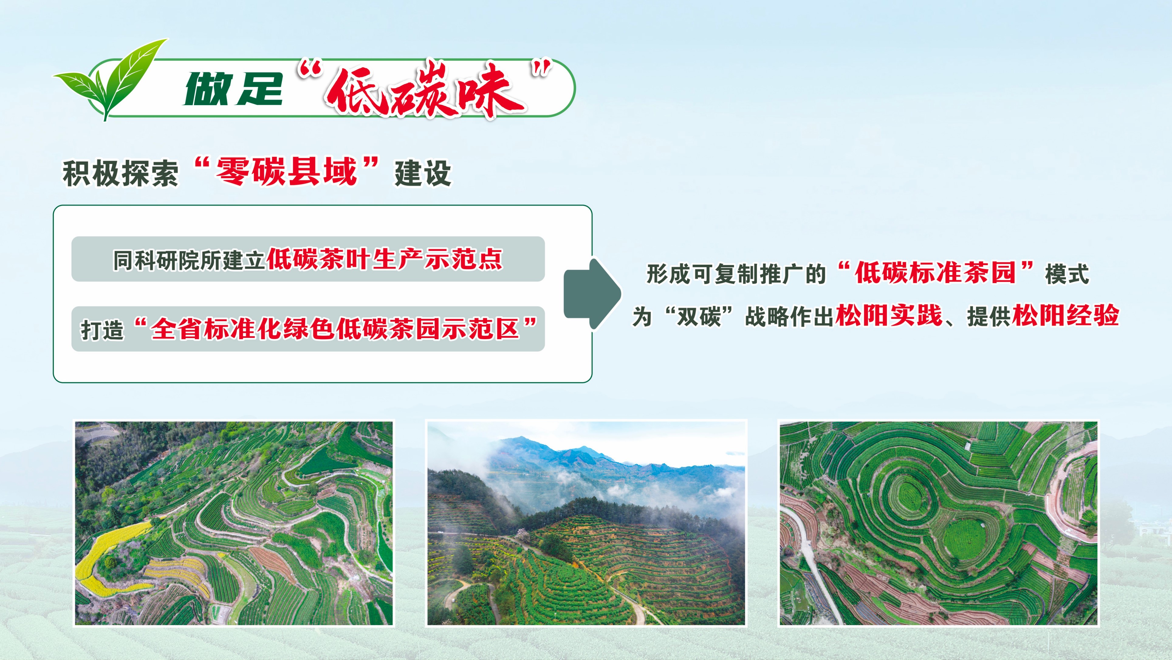 新华网“品牌领航者计划”在莫干山品牌日大会重磅启动