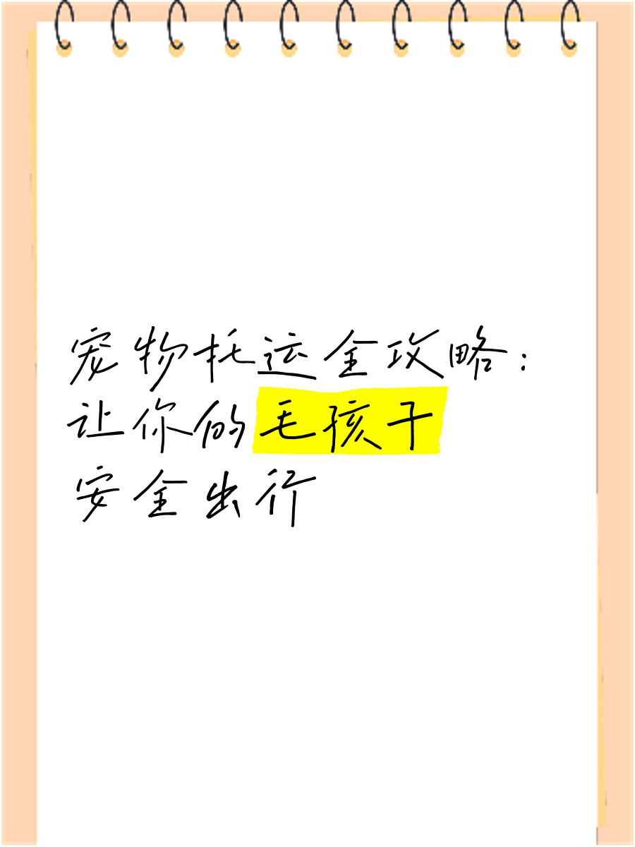 从“毛孩子运动会”到“长耳朵的车队” 滴滴开放日聚焦宠物出行