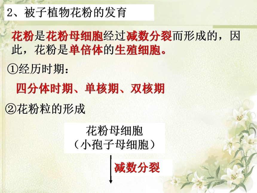 德研究人员借助古老花粉追溯被子植物起源时间