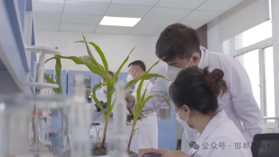 专家热议加强科技创新推动盐碱地综合治理和开发利用