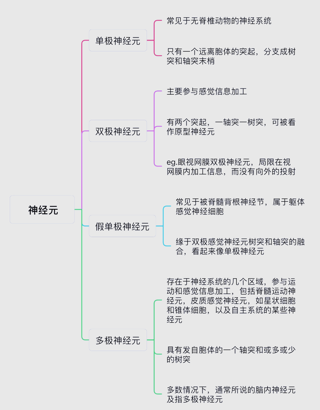 研究揭示多不饱和脂肪酸调节神经细胞功能机制