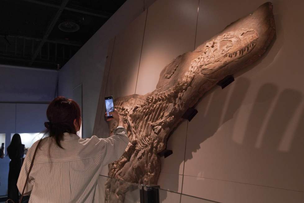 “中国恐龙大展”揭秘中国恐龙生存演化故事
