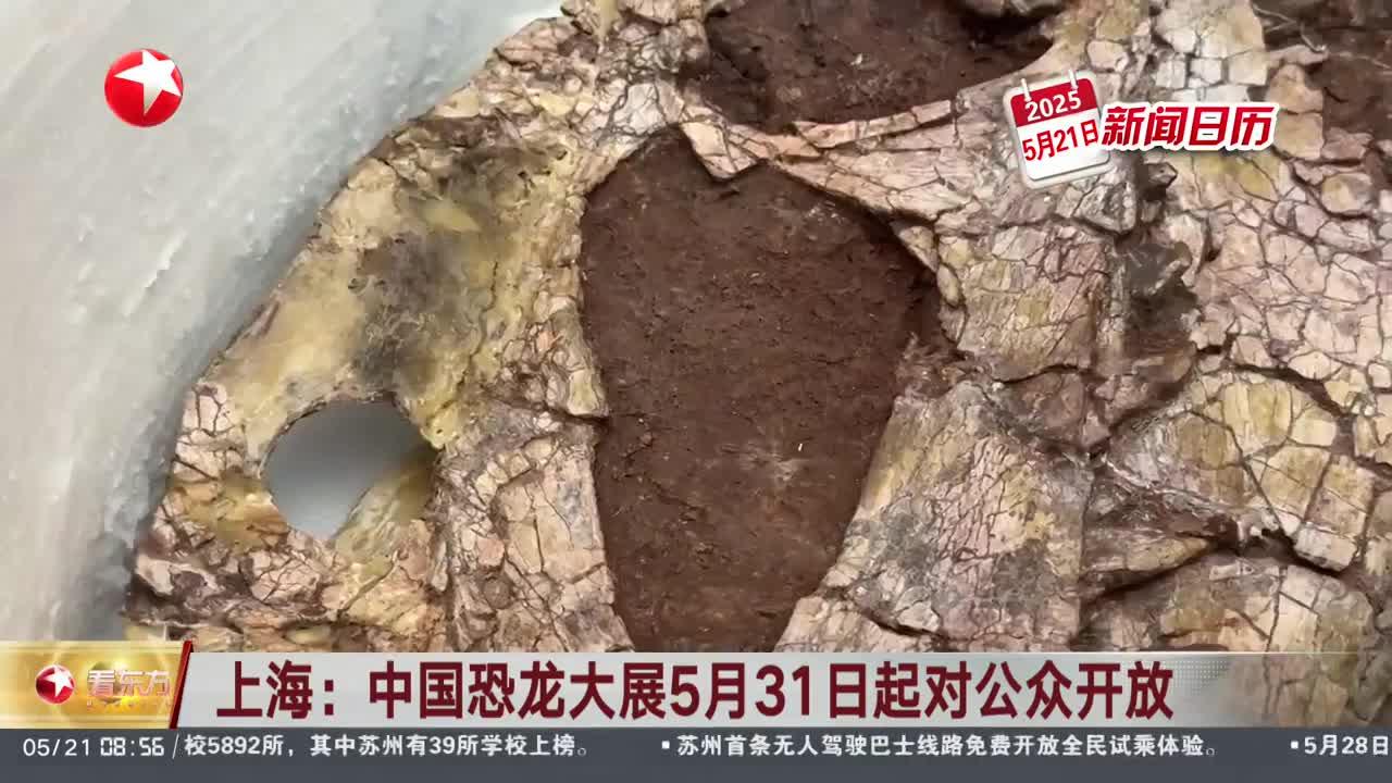 “中国恐龙大展”揭秘中国恐龙生存演化故事