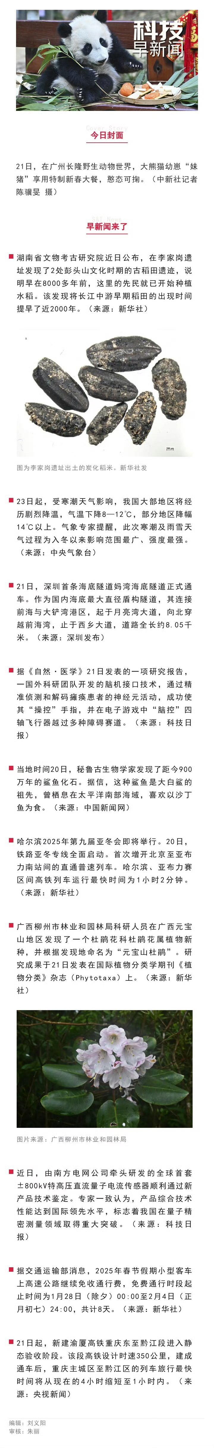从脑机接口到“月壤成纤”，在上交会感受未来科技的“万种可能”